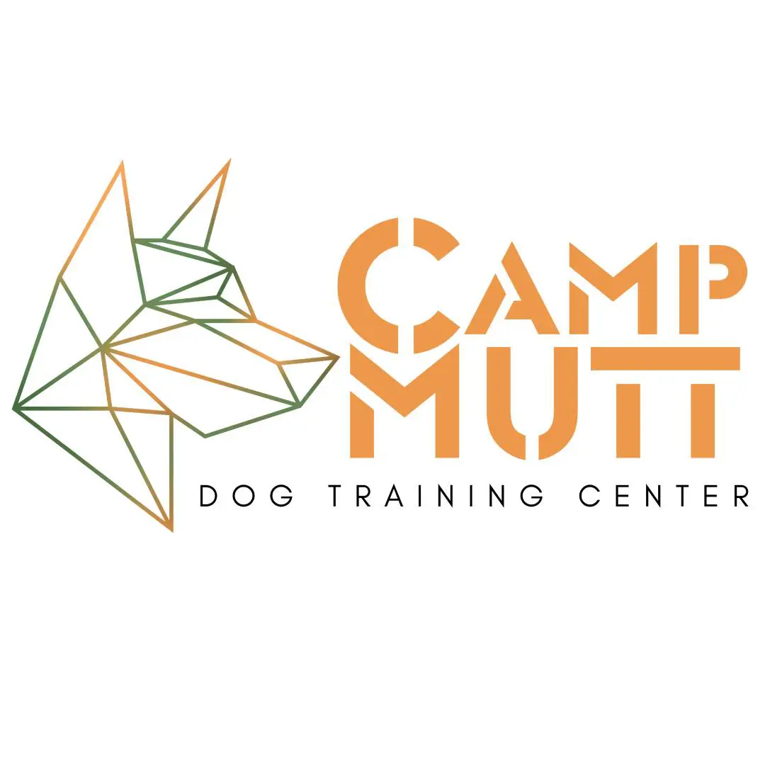 A dog trainer is looking for a new job.