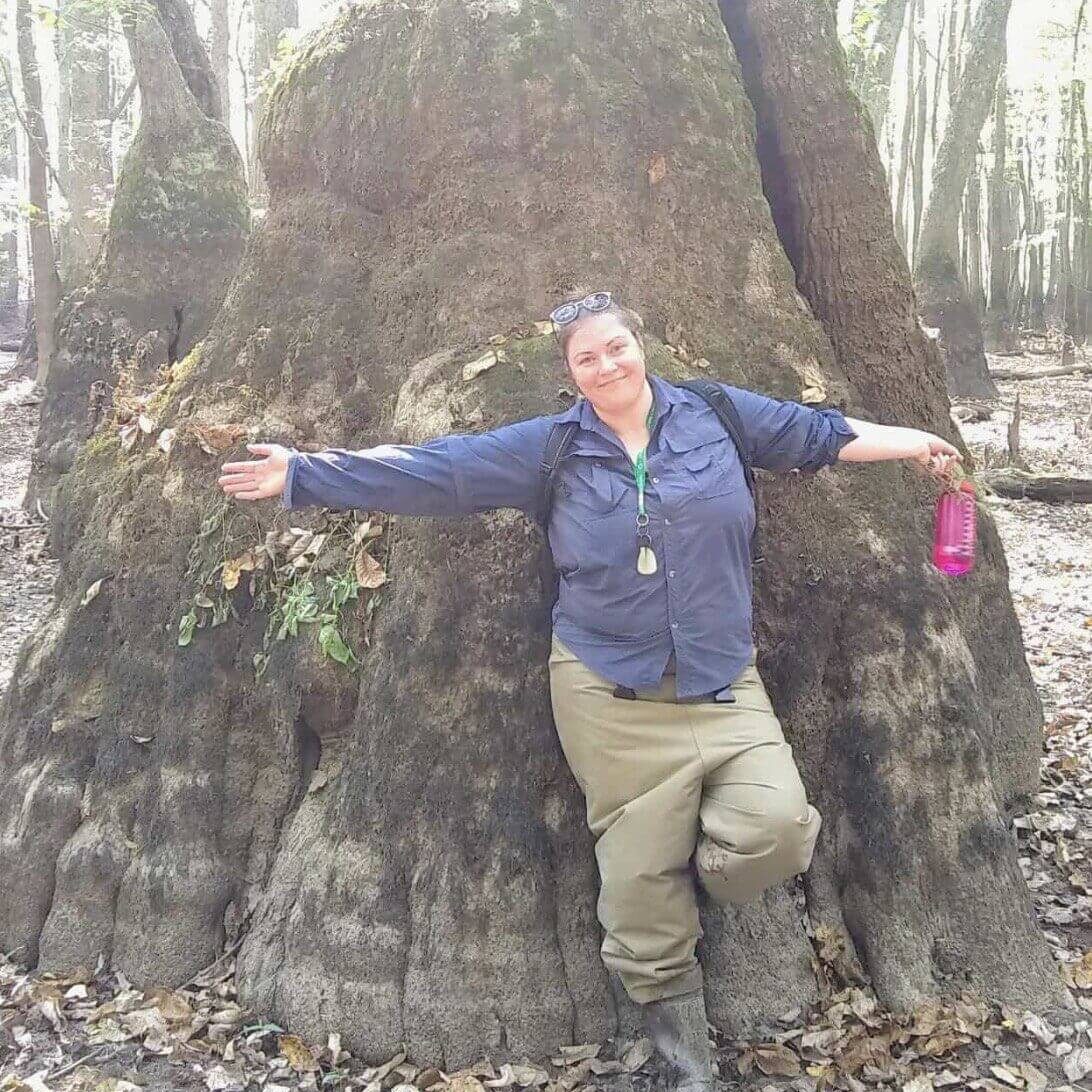Person hugging a large tree in forest.