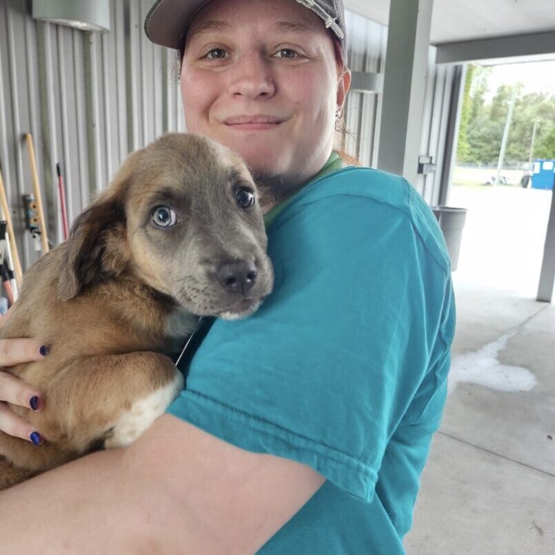Person holding a puppy at shelter.