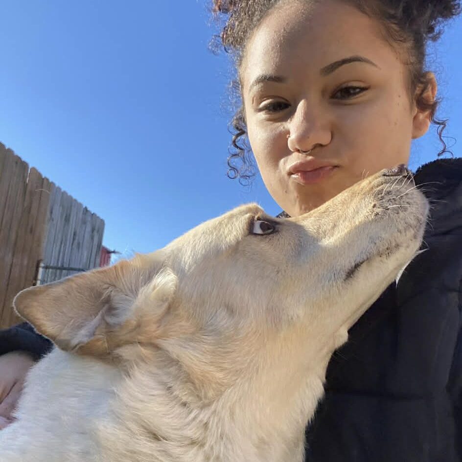 Woman with dog under clear blue sky.
